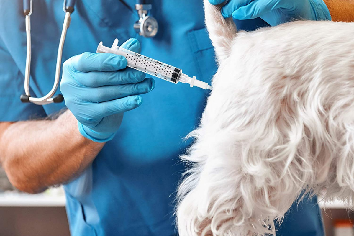 Artificial insemination -
